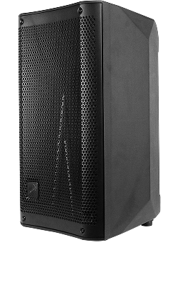 ИМБИРЬ 310-А